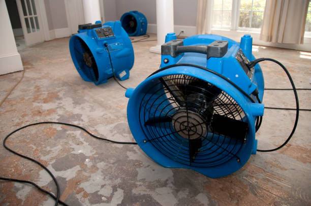 Best Water damage restoration cost  in Guttenberg, IA