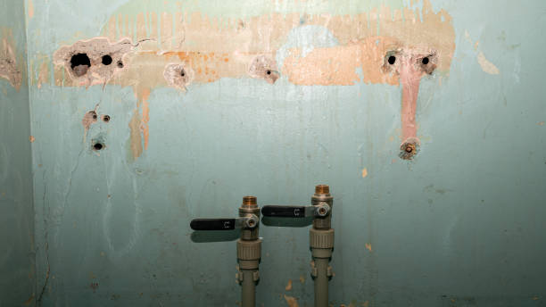 Best Carpet water damage restoration  in Guttenberg, IA